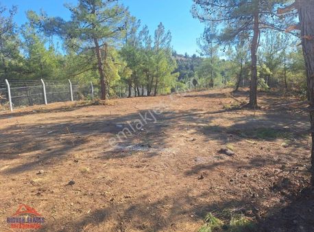 Bilecik Söğüt Küre De Satılık Arazi