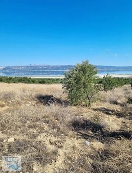 Aysa'dan İlyas Köy Merkezi Yakını 1800metrekare Tarla