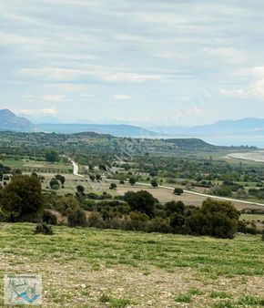 Aysa'dan Burdur İlyasta Yola İkinci Parsel 1942m² Tarla