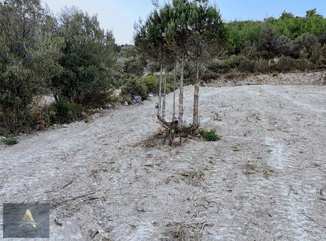 Gölpazarı İlçe Merkezin De