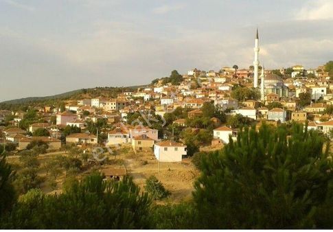 Ayvalık Da Orman İçi Köy Yanın Da Elektrik Ve Suyu Olan Villa İmarlı Arsalar