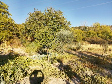 Koyuneli Mahallesi'nde Satılık Bahçe