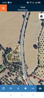 Katrancı Köyünde Yola Sıfır Zeytinlik