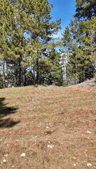 Denizli Çameli De Orion Gayrimenkul Den 743m² Fırsat Tarla