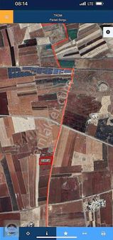 Yavuzluda 18 Dönüm Asvalt Üzeri Araç Ev Takasına Açık Zeytinlik