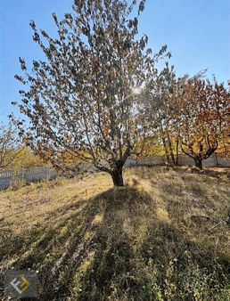 Furkan Emlaktan Çay Deresinek Köyü İmarlı Bungolov Ev Ve Arsası