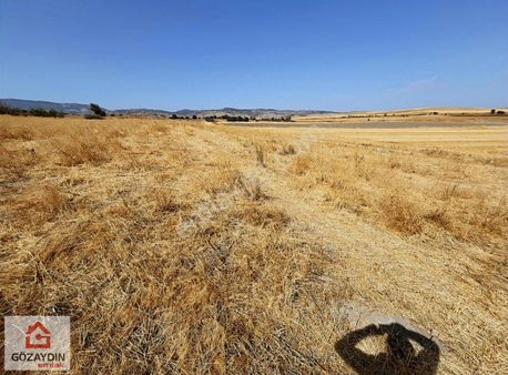 Gözaydın Emlak'tan Bahçecik Köyü Mevkiii Satılık Bağ Yeri