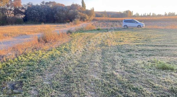 Doğacity Den Satılık Seyitgazi İkiçeşme 1768 M2 Hobi Bahçelık