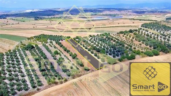 Kirazlı'da 1.290 M² Satılık Tarla