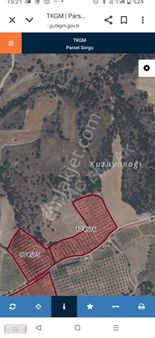 Uşak Eşme Yelegende Satılık 16 Dönüm Ceviz Bahcesi