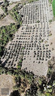 Muğla Menteşe Bayır Mahallesinde Satılık 9478,36 M2 Tarla