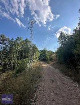 Rs Mutlu Kestel Kozluören De 9.843 M2 Satılık Yola Cephe Arazi