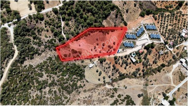 Kuyucak'ta Satılık 11.616 M2 Arazi