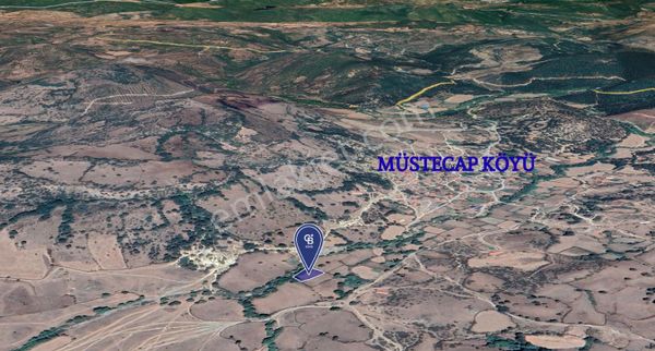 Cb King'den Balıkesir/balya Müstecap Mahallesi Satılık Bahçe