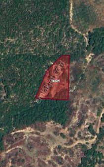 “taşyayla’da Orman Manzaralı 3.361 M² Fiyat-performans Arazisi – Yazlık Ve Sürekli Yaşama Uygun”