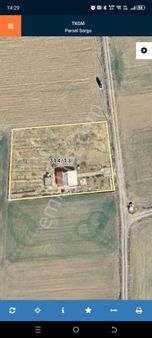 Uşak Emlak Ofisinden 2129 M245 Adet Meyve Ağacı 1+1 Konteynr Olan Elektiriği Olan Satılık Tarla