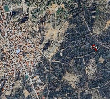 Piar'dan Yatırımlık Fırsat Kelepir Zeytinlik