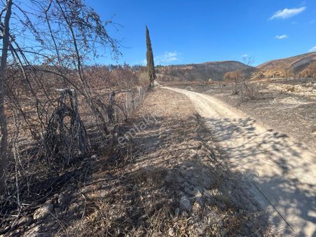 Kocaeli Karamürsel Akçat 209 M2 Satılık Hobi Bahçesi