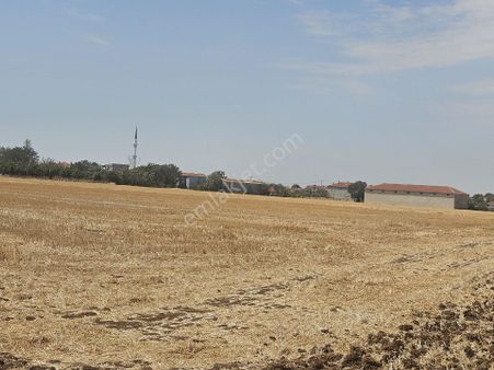 Lüleburgaz Emirali Satılık Tarla