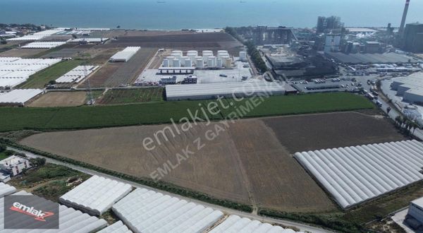 Emlak Z' Den ⫸ｆｉｒｓａt⫸ Kazanlıda 37 Dönüm Lojistik Depolama Alanı