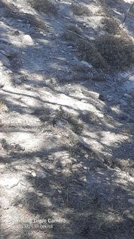 İbecik Yaylasında 5273 M2 Satılık Yer