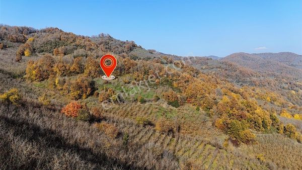 Metsa'dan Esençam Köyünde Satılık 4,613 M2 Tarla