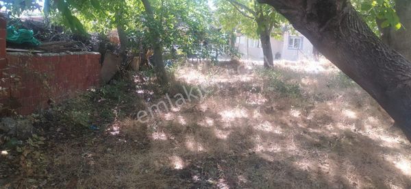 Asya Evim Emlaktan Burdur Ağlasun Balâ Mahallesin De Satılık 3 Arsa