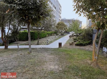 Emlak Konutda Kiralık Daire Boş Taşınmaya Hazır