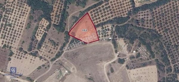 Bursa Karacabey Karasu'da Tarla