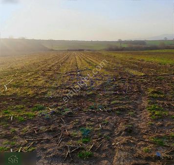 Gönen Asmalıdere Basınçlı Sulama Sistemli Müstakil Tapulu Fırsat