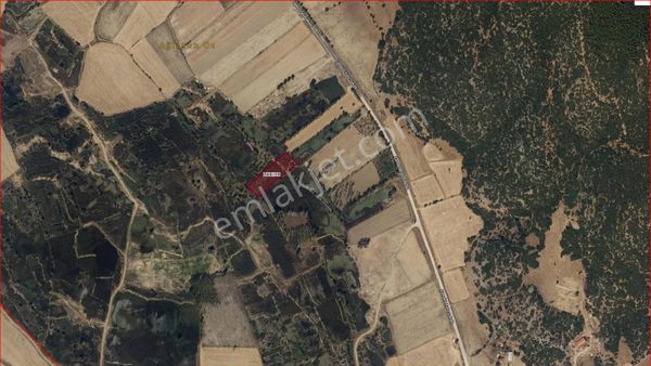Asya Evim Emlaktan Ağlasun Hamam Mah De Satılık Tarla