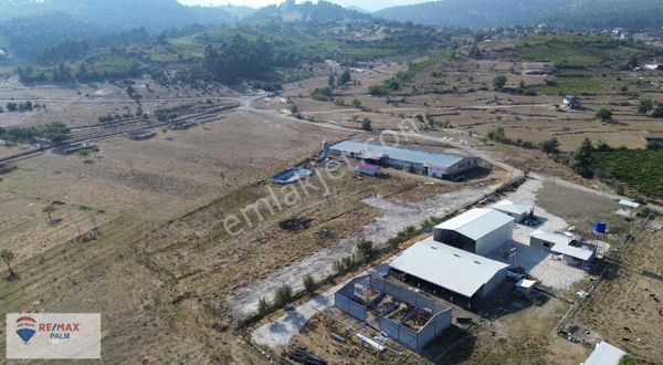 Remax Palm'den Akarca'da Satılık Tavuk Çiftliği