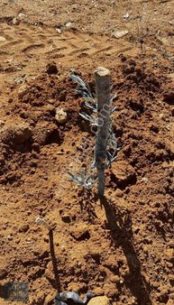 Babil Gayrimenkulden Denizli Çalda 17.201 M² Satılık Tarla