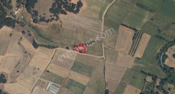 Poyraz Dan Pınarhisar Cevizköy De Satılık Tarla