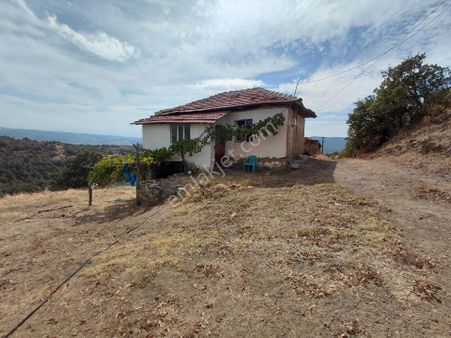 Hayvancılık İçin Uygun 28.000 M2 Su Elektrik Evi K.baş Dam Ağıl Var