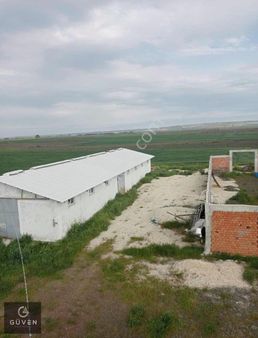 Hazır Kurulu 10 Dönüm Arazi İçinde Ruhsatlı Çiftlik