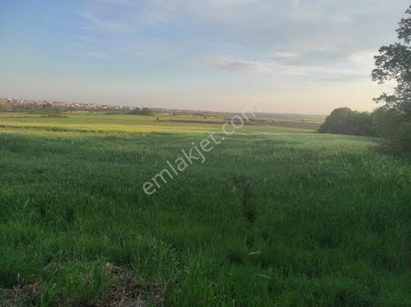 Alemdar'dan Tekirdağ Saray Yenimahalle'de Satılık 2 Adet Toplam 500 M2 Arsa