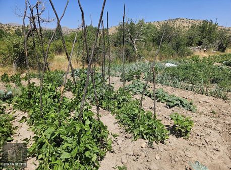Resmi Yolu Olan Bahçelik Yatırımlık Müstakil Tapu Arazi