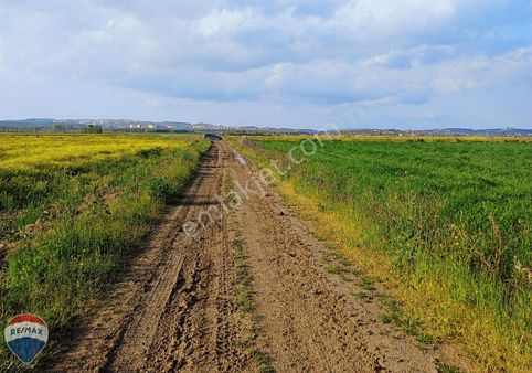 Remax Mavi Den Şehir Hastanesi Ne Yakın Yatırımlık Tarla