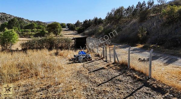 Kütahya-eskişehir Yoluna Sıfır Porsuk Cayı Yanı Hobi Bahçesi