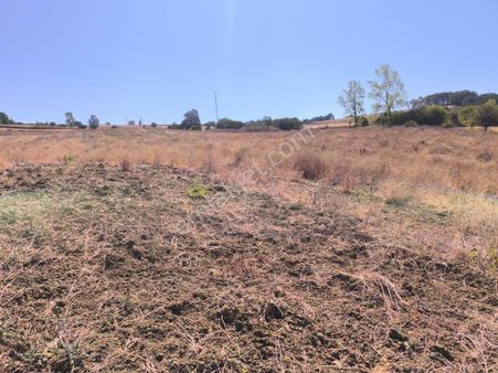 Geyve Dogancılda Satılık 27,144m2 Çiftlik Arazisi