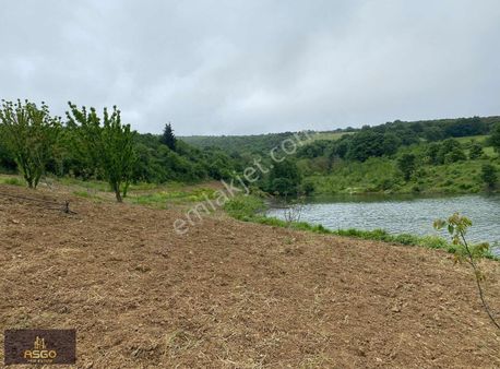 Asgodan Bandırma Çakıl Mah.de Göle Sıfır Satılık 4.459 M2 Tarla