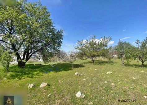 Hacılar Beğendik,te 2235 M2 Satlık Temiz Parsel