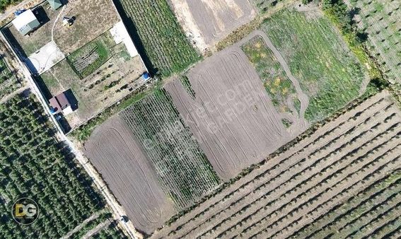 Bursa Gürsu Kazıklı Köyünde Satılık Hobi Bahçeleri