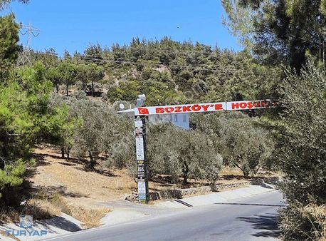 Torbalı Bozköy Mahallesinde 210 M2 Zeytinli Tarla