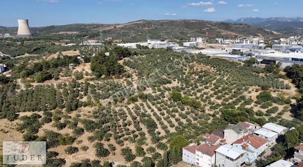 Tuder'den Osmangazi/alaşar Da Kıymetli Arazi