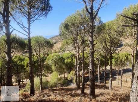 Madra Dağın' Da Nefes Durağınız