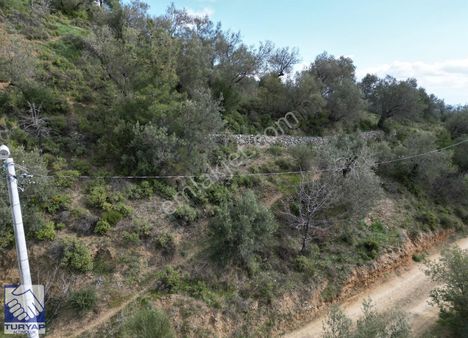 Edremit Altınoluk' Da Full Deniz Manzaralı Satılık Arsa