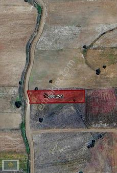 Lavinia Gayrimenkul'den Acil Satılık Tek Tapu Tarla