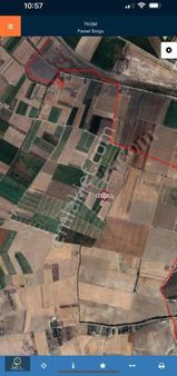 Sarılar Gm'den Yusuflar Köyünde 4.620m2 Satılık Tarla